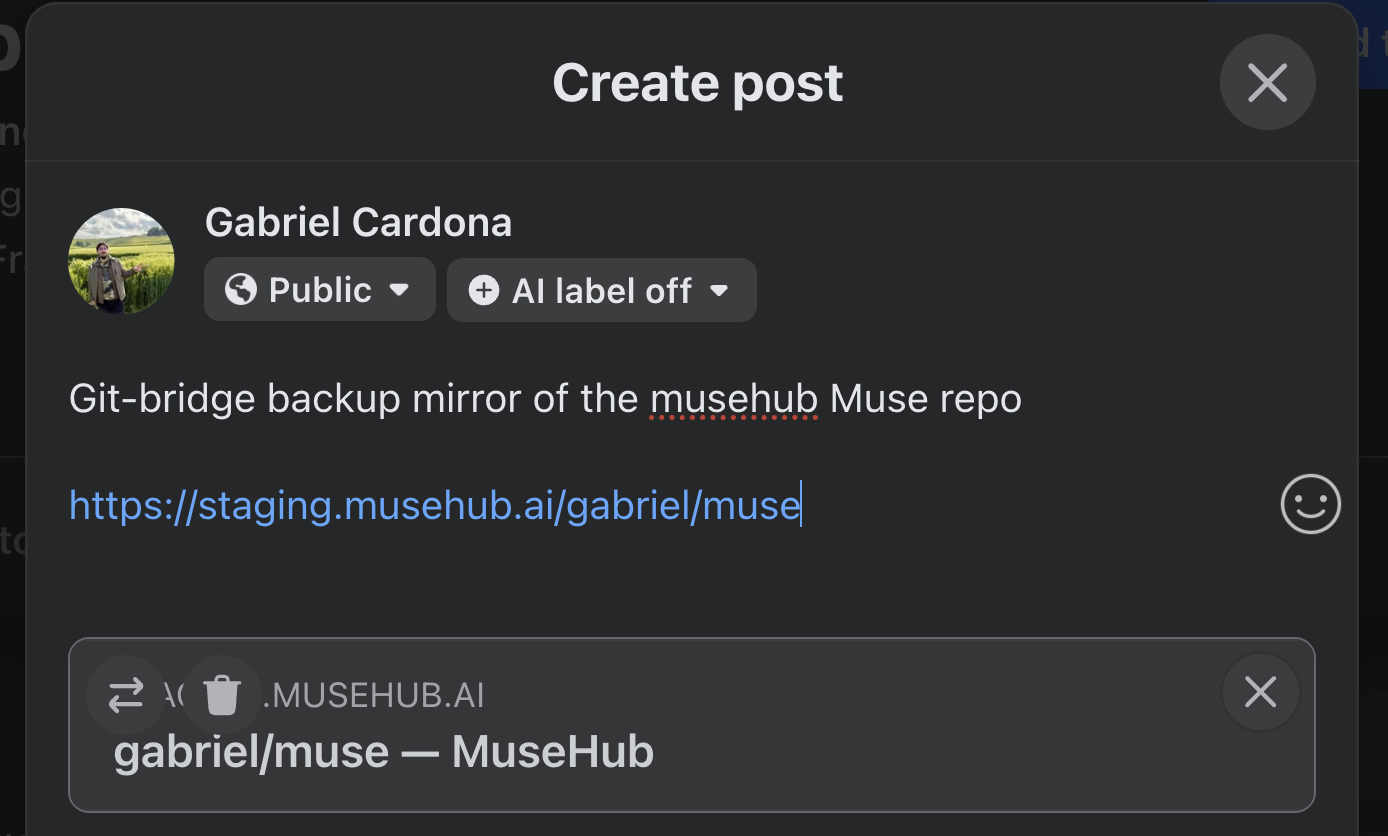 Facebook preview of a MuseHub repo link